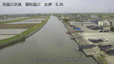 yoko2026041807_image