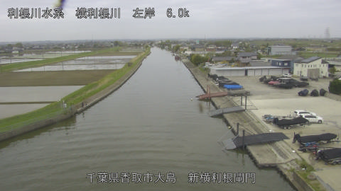 yoko2026041808_image