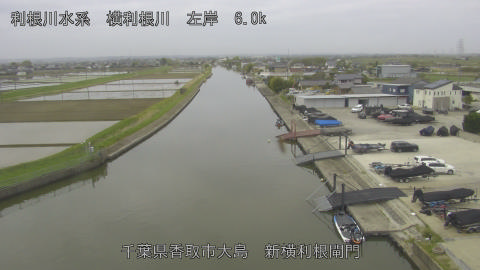 yoko2026041809_image