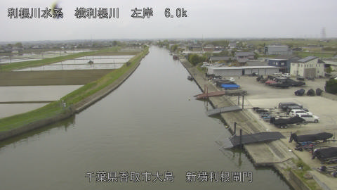 yoko2026041810_image