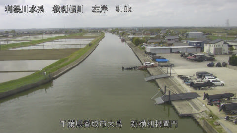 yoko2026041811_image