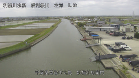 yoko2026041812_image