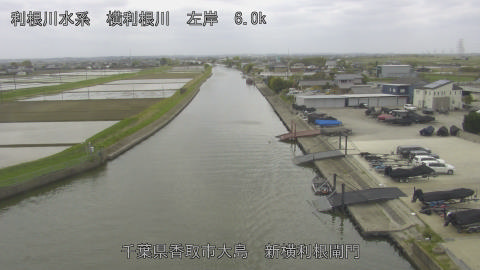 yoko2026041813_image