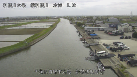 yoko2026041814_image