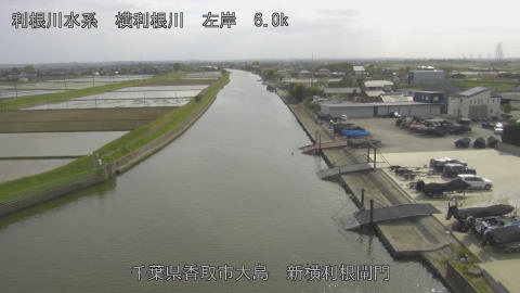 yoko2026041815_image