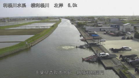 yoko2026041816_image