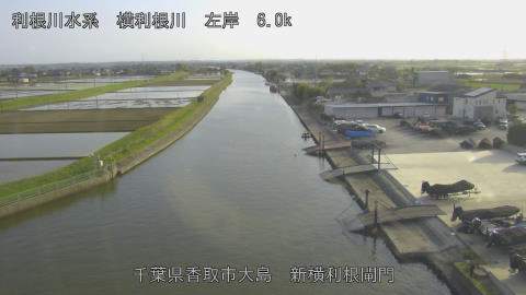 yoko2026041817_image