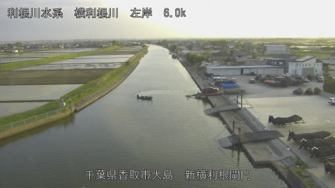 yoko2026041818_image