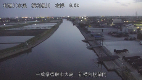 yoko2026041819_image