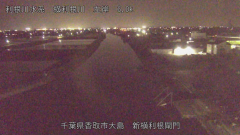 yoko2026041820_image