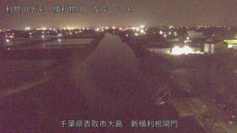 yoko2026041821_image