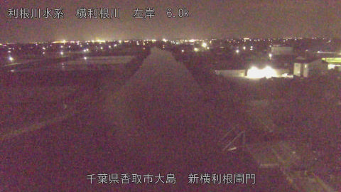 yoko2026041822_image