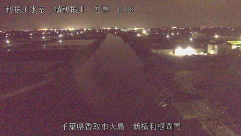 yoko2026041823_image