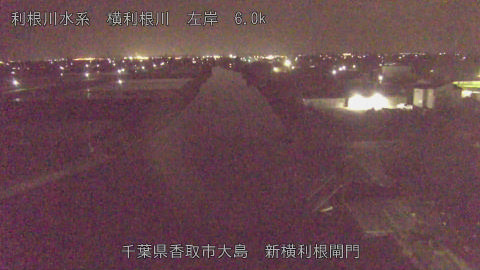 yoko2026041900_image