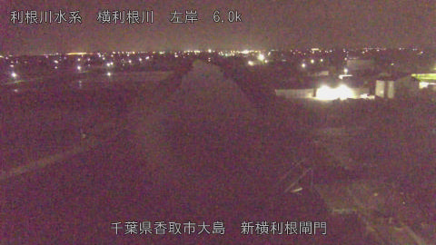 yoko2026041901_image