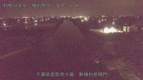 yoko2026041902_image