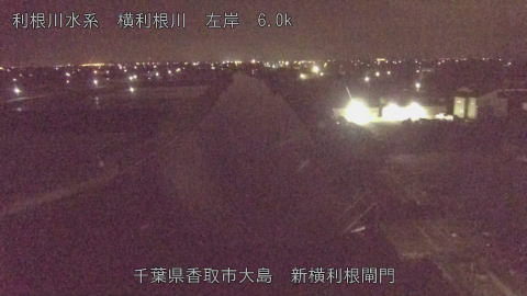 yoko2026041904_image