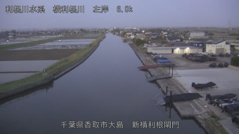 yoko2026041905_image