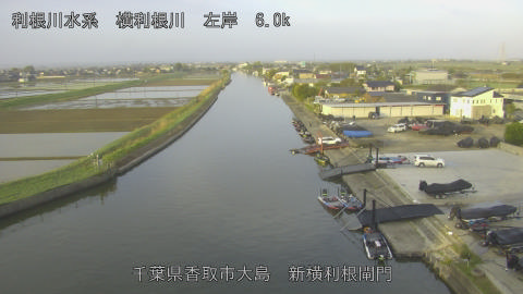 yoko2026041906_image