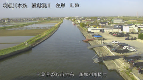 yoko2026041907_image