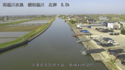 yoko2026041908_image