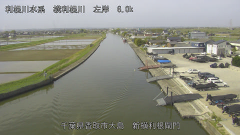 yoko2026041909_image