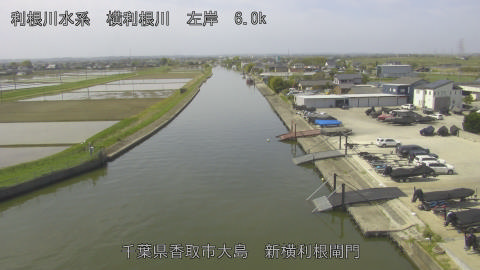 yoko2026041910_image