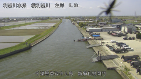 yoko2026041911_image