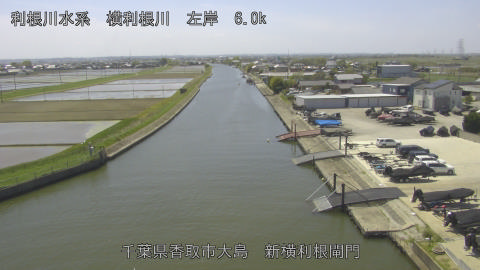 yoko2026041912_image