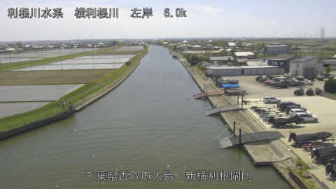 yoko2026041913_image