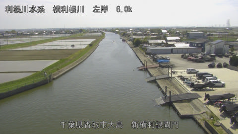 yoko2026041914_image