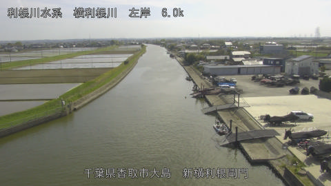 yoko2026041915_image