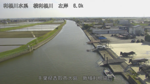 yoko2026041916_image