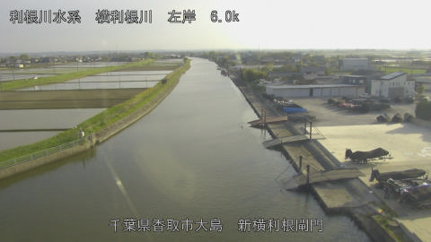 yoko2026041917_image