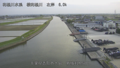 yoko2026041918_image