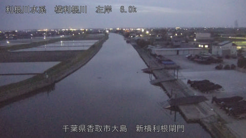 yoko2026041919_image