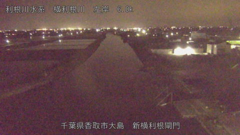 yoko2026041920_image