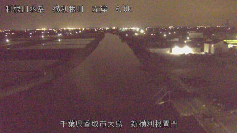 yoko2026041921_image