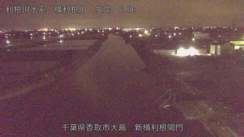 yoko2026041922_image