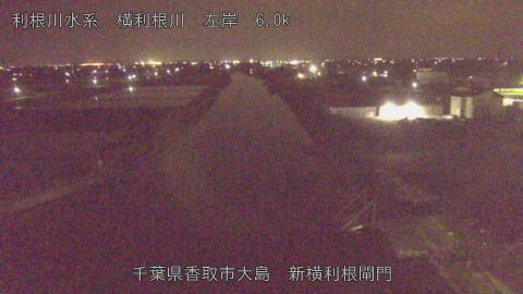 yoko2026042000_image