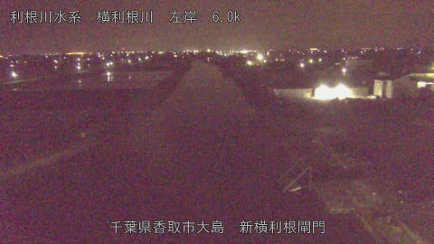 yoko2026042001_image