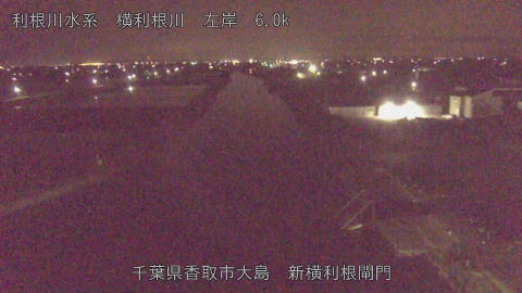 yoko2026042002_image