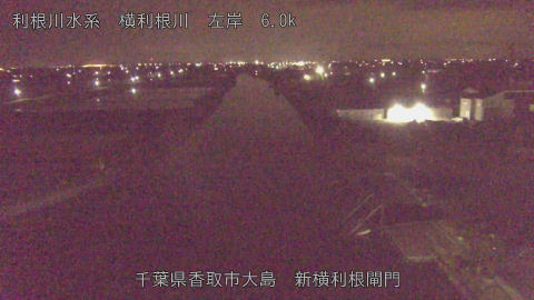 yoko2026042003_image