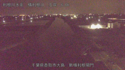 yoko2026042004_image