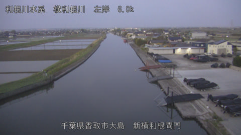 yoko2026042005_image