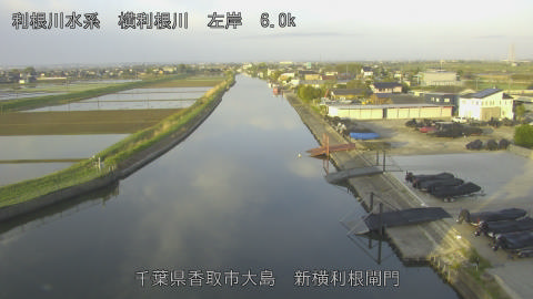 yoko2026042006_image