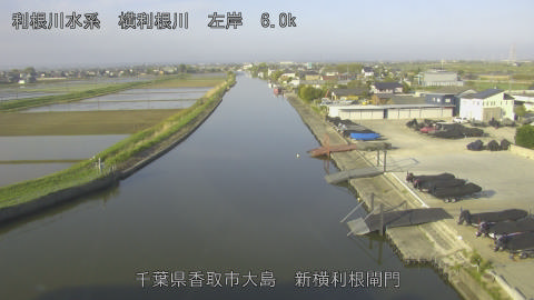 yoko2026042007_image