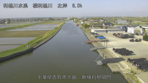 yoko2026042008_image