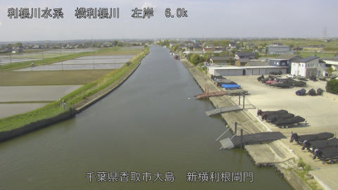 yoko2026042009_image