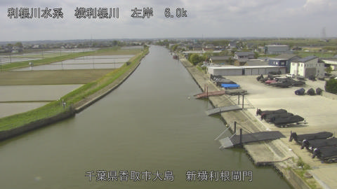 yoko2026042010_image